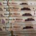 Mexico’s peso falls after Trump announces tariffs on Colombian goods